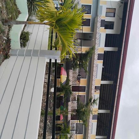 Althea Birds Nest Inn Moalboal Exterior foto